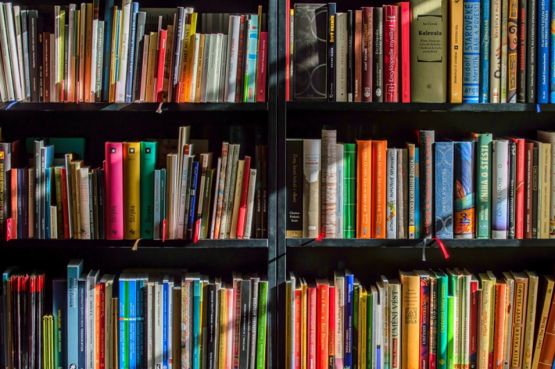 vente-ST MARTIN D ENTRAUNES-min_books_bookstore_book_reading_shop_writer_sale_books_read-822866